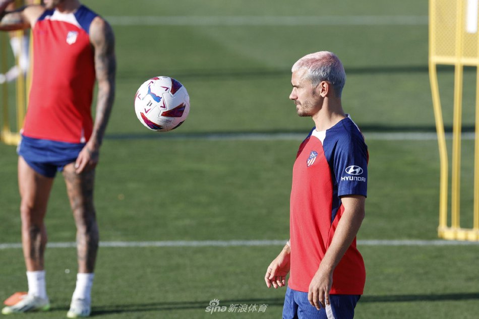 此次引进的 此次引进的